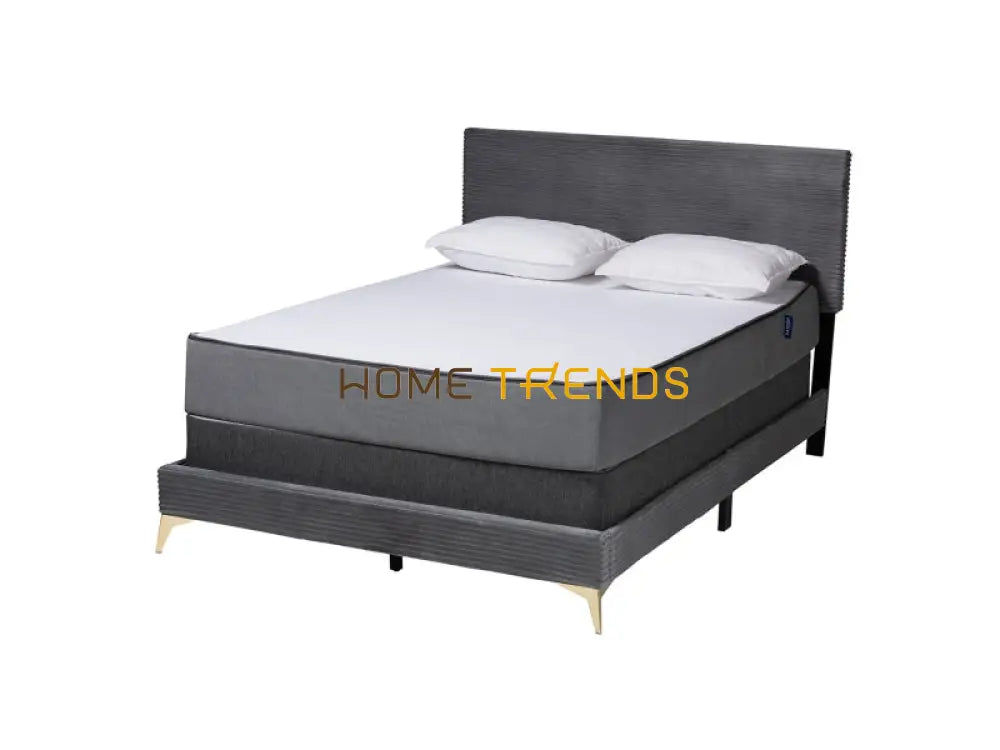 Baxton Studio Abberton Gray/Gold Velvet Panel Bed