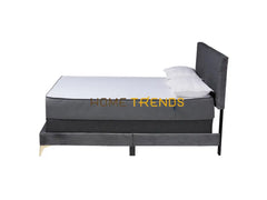 Baxton Studio Abberton Gray/Gold Velvet Panel Bed