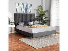 Baxton Studio Serrano Gray/Gold Platform Bed